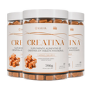 Creatina